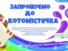 Котомістечко, адопція, коти