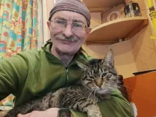 Котомістечко, адопція, коти