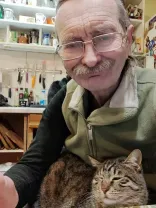 Котомістечко, адопція, коти