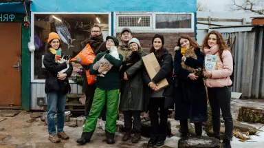 Cat town, adoption, cats, events