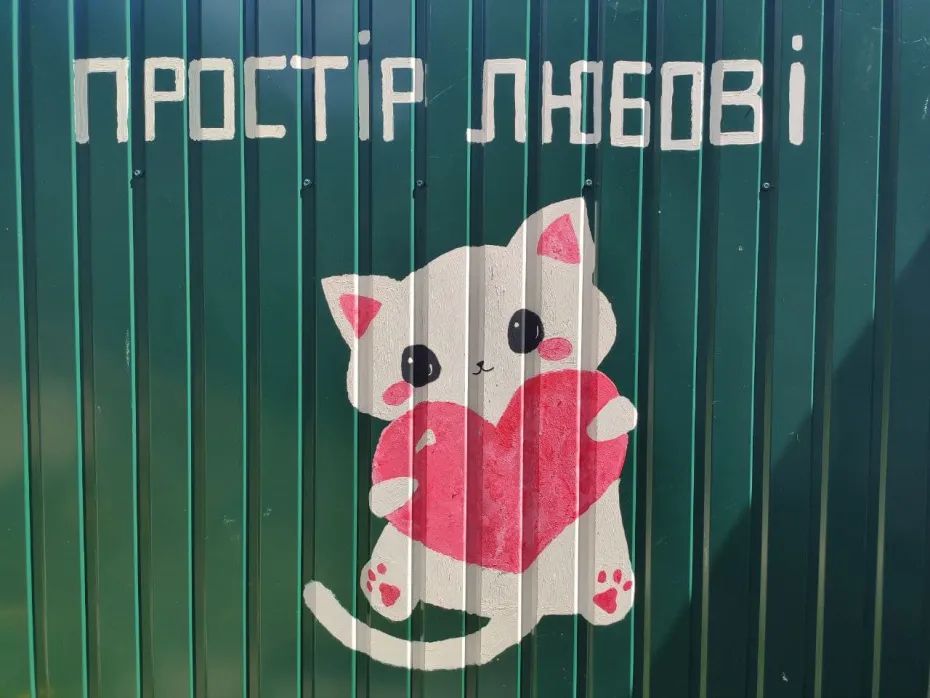 Cat Town, adoption, cats