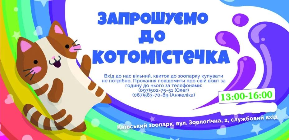 Котомістечко, адопція, коти