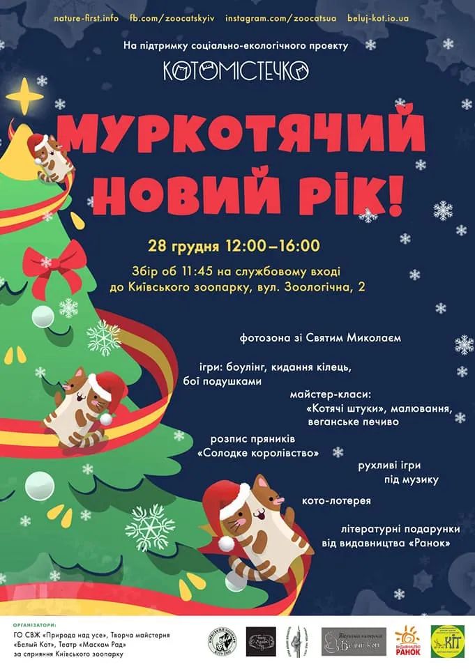 Котомістечко, мистецтво, колядки, адопція