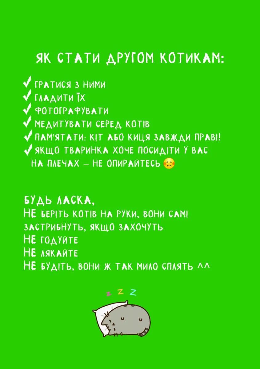 Котомістечко, адопція, коти