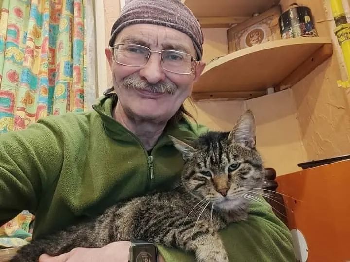 Котомістечко, адопція, коти